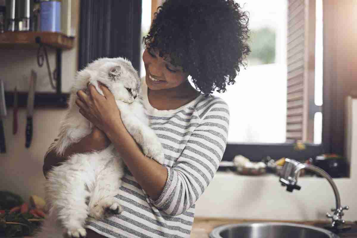 9 situaties die iedereen met een kat herkent