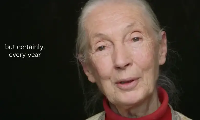 Deze prachtige video van primatologe Jane Goodall zet je aan het denken