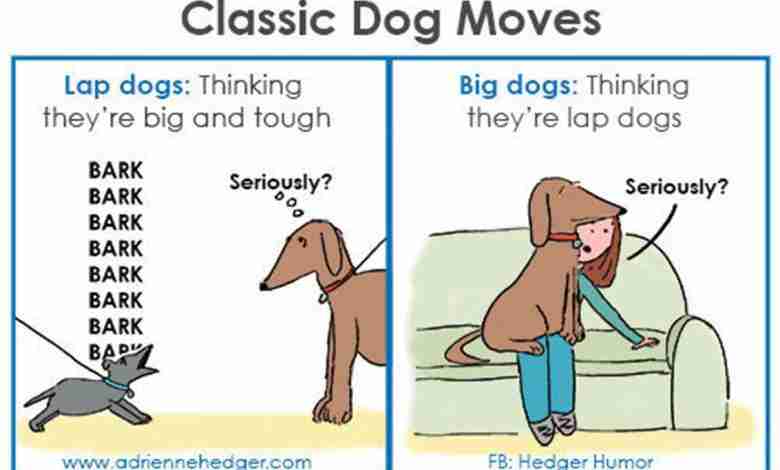 In deze 5 striptekeningen zullen alle hondenliefhebbers zich herkennen