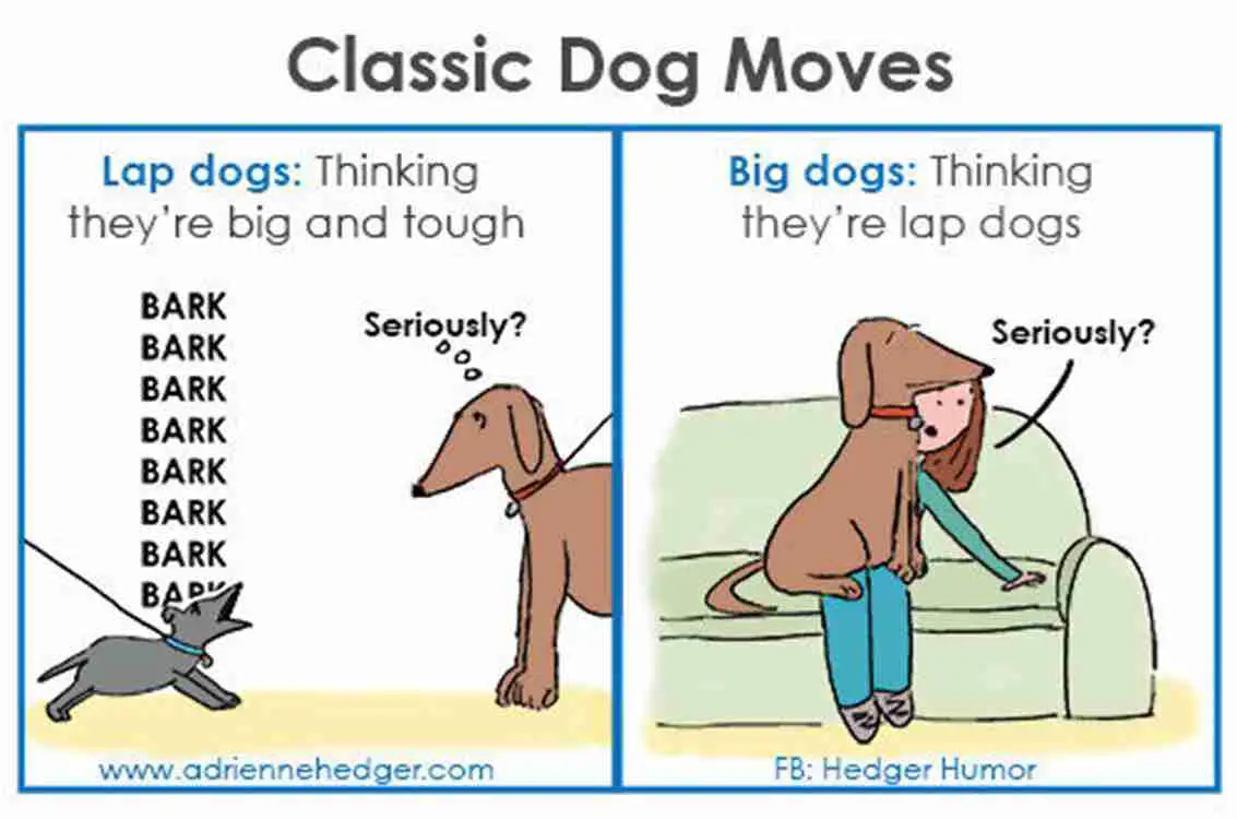 In deze 5 striptekeningen zullen alle hondenliefhebbers zich herkennen