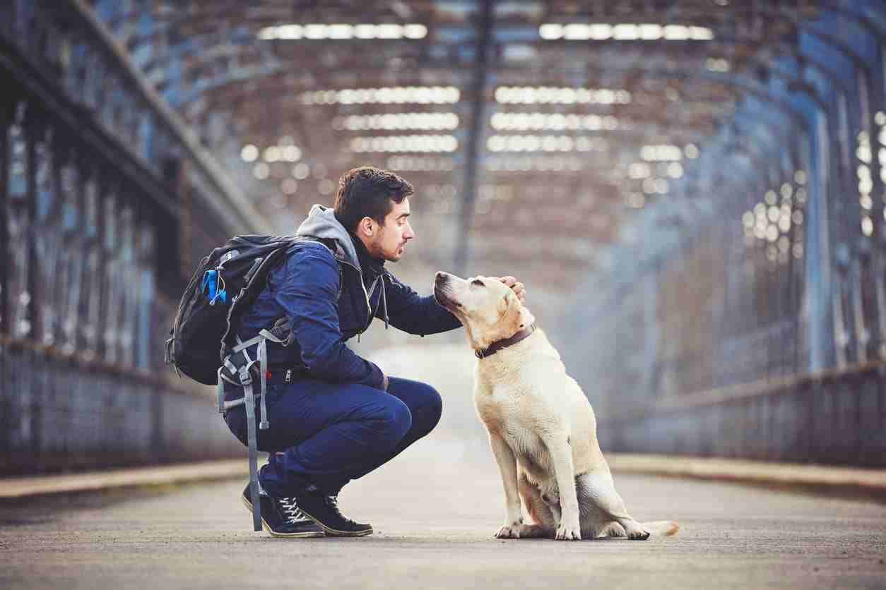 Deze man en hond lijken als twee druppels water op elkaar