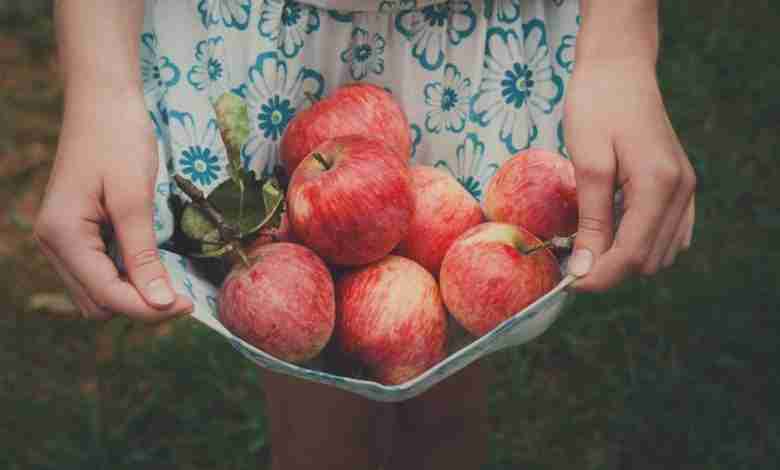 Levensles: de dochter en de appels