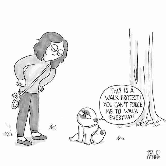 Het leven met een hond opgesomd in 17 hilarische tekeningenHet leven met een hond opgesomd in 17 hilarische tekeningen