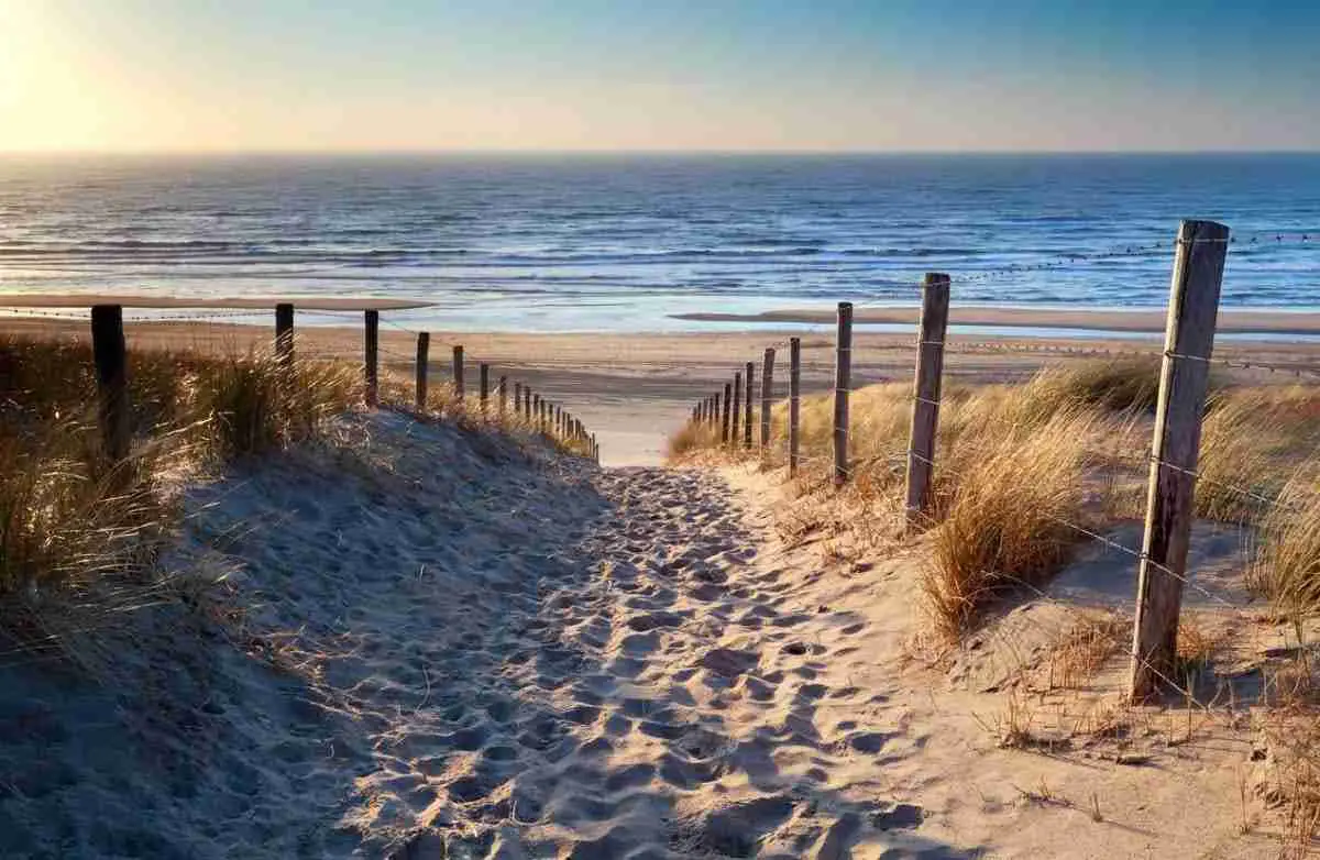 Zin om uit te waaien aan zee? Door dit gedicht van Toon Hermans wil je NU