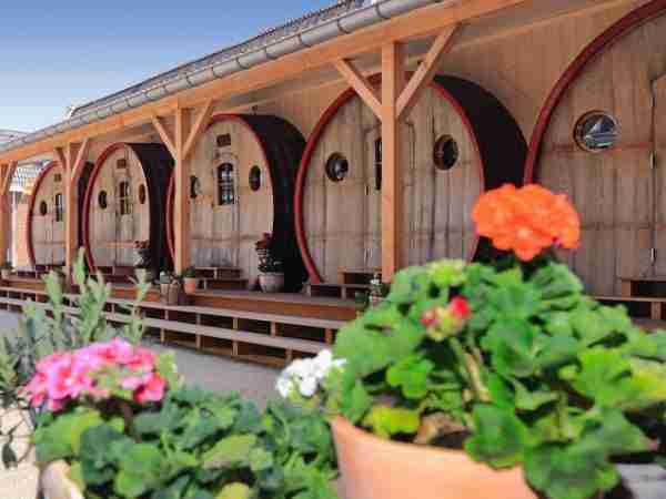 Slapen in een groot wijnvat? Ja hoor!