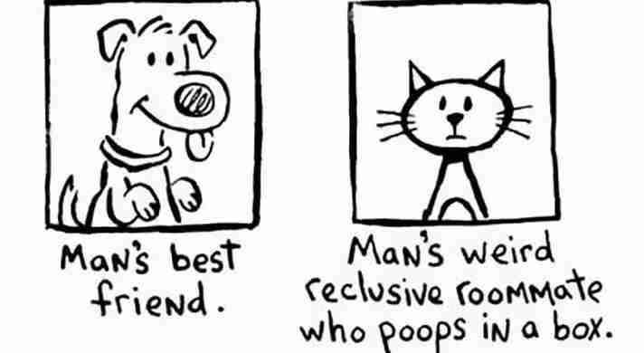 Deze 15 tekeningen laten het verschil tussen katten en honden op hilarische wijze zien