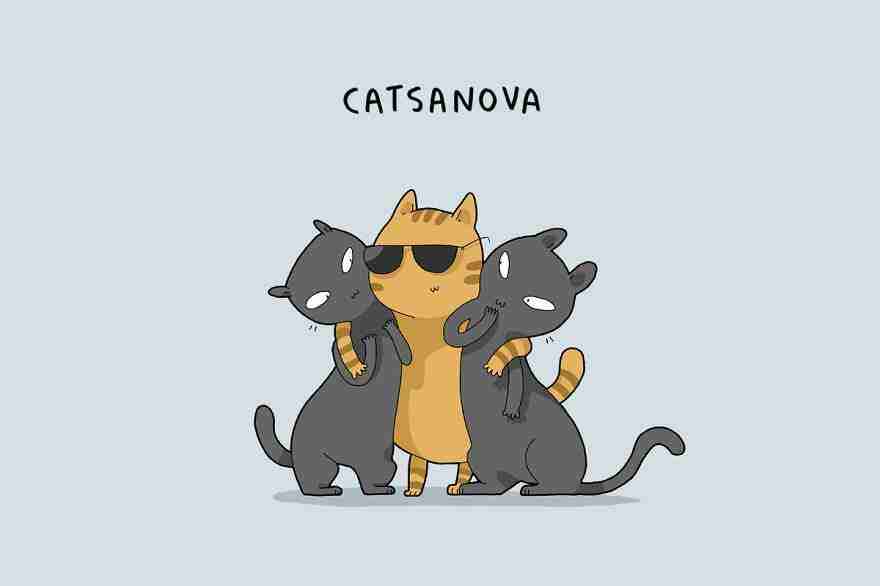 De 12 verschillende soorten katten in leuke tekeningen: welke heb jij?