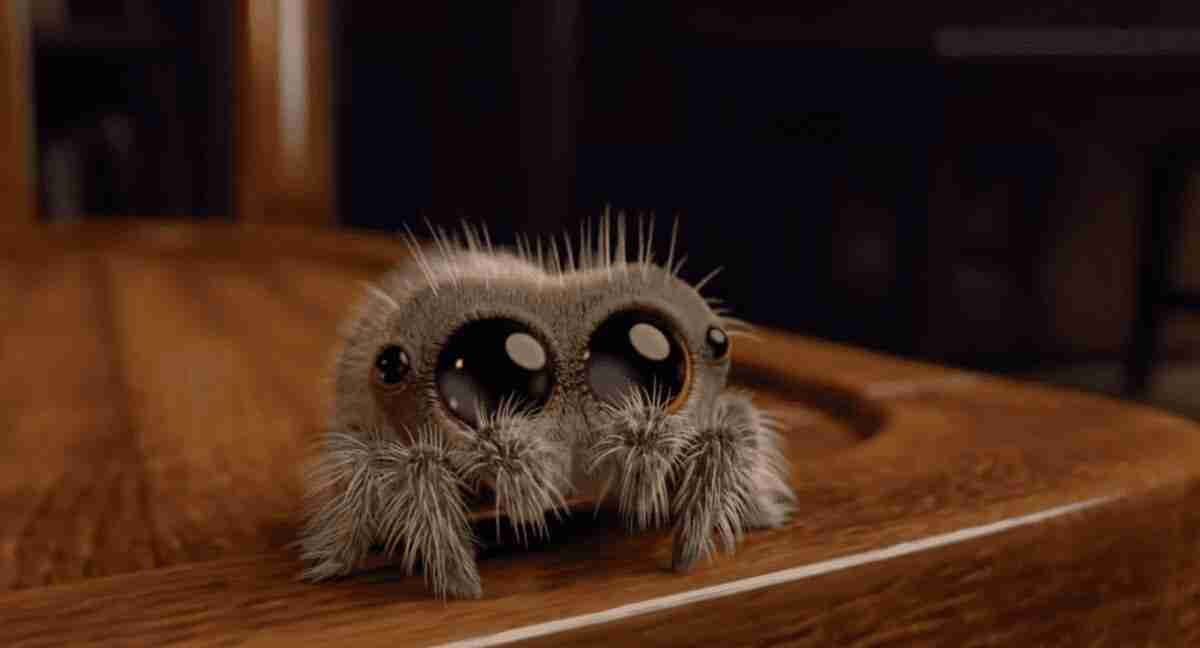 Mensen eisen dat Pixar een film maakt met deze geanimeerde spin