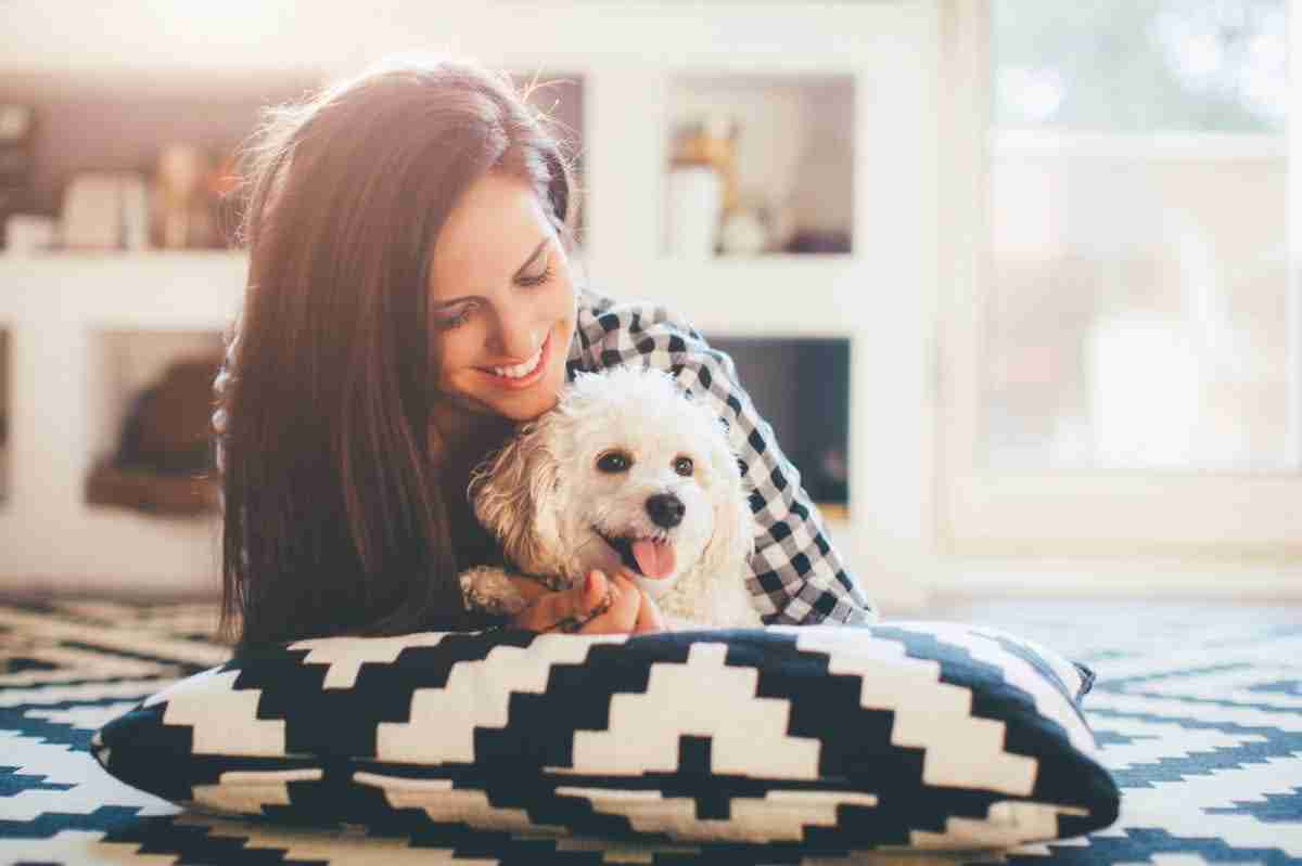 Uit onderzoek blijkt: mensen hebben meer medelijden met honden dan met mensen