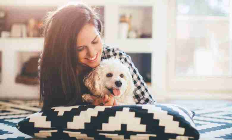 Uit onderzoek blijkt: mensen hebben meer medelijden met honden dan met mensen