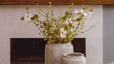 haard-groene-planten-grijze-pot
