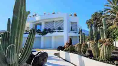 witte-appartementen-cactussen